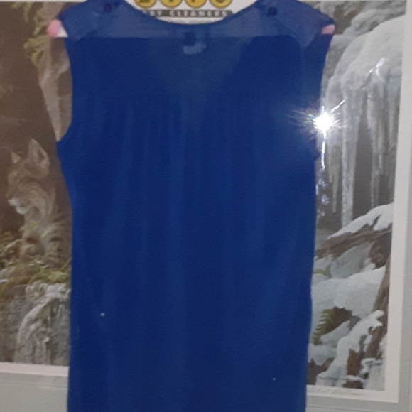 Blue sheer top - Picture 2 of 2
